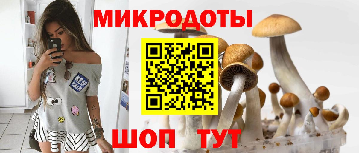 Псилоцибиновые грибы мицелий  Вход с VPN  закладка  Серпухов 